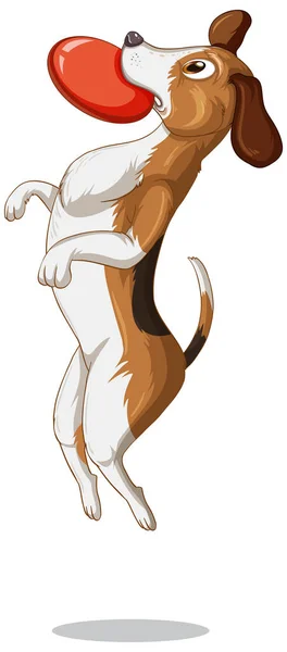 Beagle Dog Cartoon White Background Illustration — Stock Vector