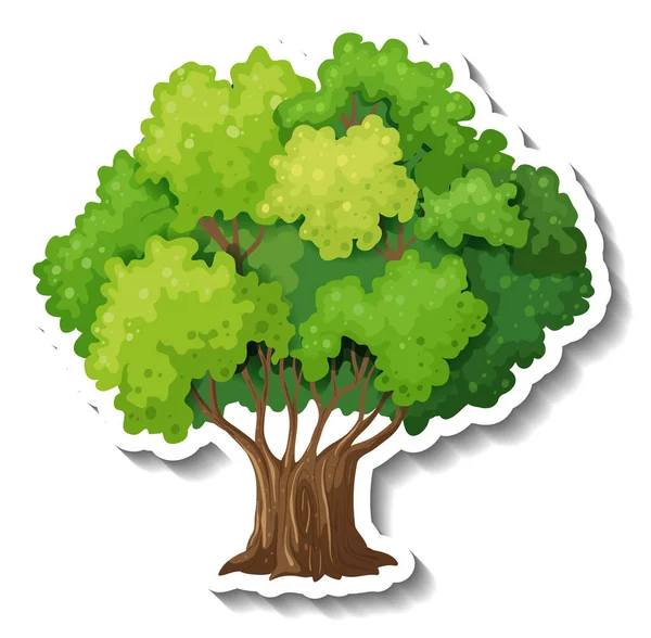 Ein Baum Mit Grünen Blättern Aufkleber Auf Weißem Hintergrund Illustration — Stockvektor