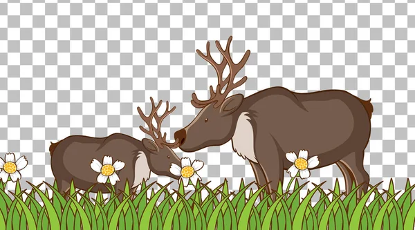 Moose Standing Grass Field Transparent Background Illustration — Stock Vector