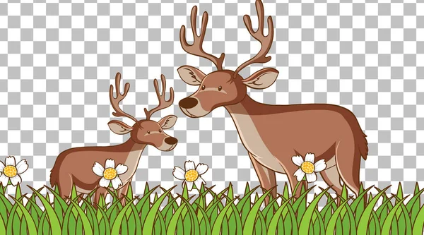 Deer Standing Grass Field Transparent Background Illustration — Stock Vector