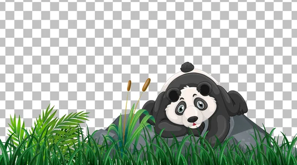 Panda Gräsplanen Transparent Bakgrund Illustration — Stock vektor