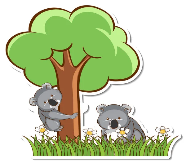 Koala Mamma Och Barn Stående Gräs Fält Klistermärke Illustration — Stock vektor