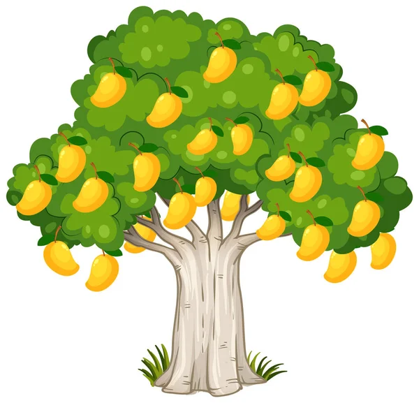 Árbol Mango Amarillo Aislado Sobre Fondo Blanco Ilustración — Archivo Imágenes Vectoriales