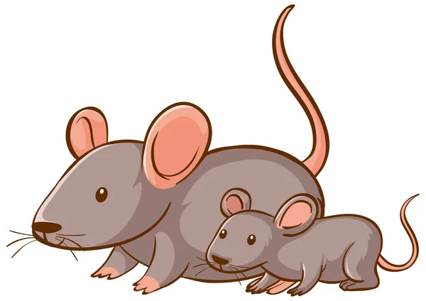 Mutter Und Baby Maus Karikatur Auf Weißem Hintergrund Illustration — Stockvektor
