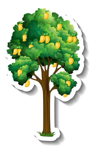 Mango Boom Sticker Witte Achtergrond Illustratie — Stockvector