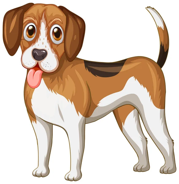 Beagle Hund Tecknad Vit Bakgrund Illustration — Stock vektor