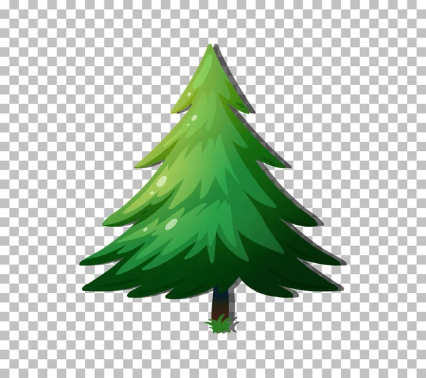 Albero Sempreverde Isolato Sfondo Trasparente Illustrazione — Vettoriale Stock