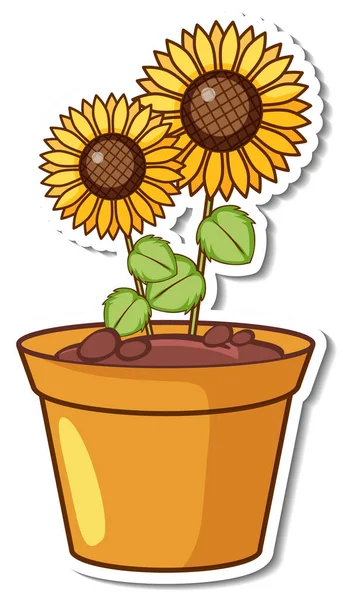 Slunečnice Květináči Nálepka Ilustrace — Stockový vektor