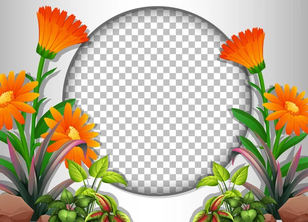 Στρογγυλό Διαφανές Πλαίσιο Τροπικά Λουλούδια Και Φύλλα Εικονογράφηση Πρότυπο — Διανυσματικό Αρχείο