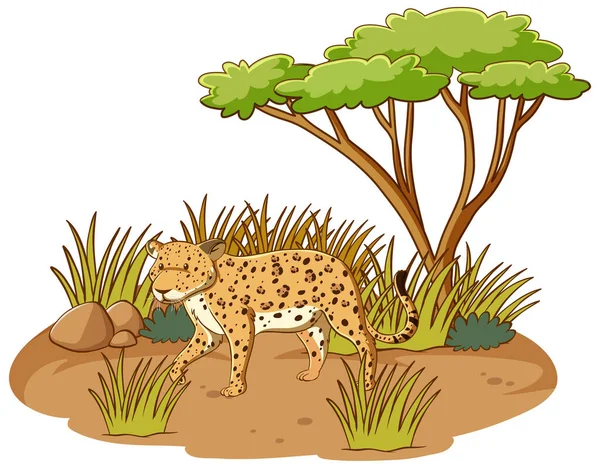 Leopard Savann Skog Vit Bakgrund Illustration — Stock vektor