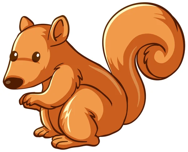 Squirrel Animal Cartoon White Background Illustration — Stock Vector