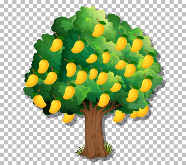Drzewo Mango Przejrzystym Tle Ilustracji — Wektor stockowy