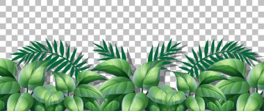 Dekor illüstrasyonu için saydam arkaplanda otlar ve bitkiler