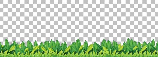 Green Grass Transparent Background Illustration — Stock Vector