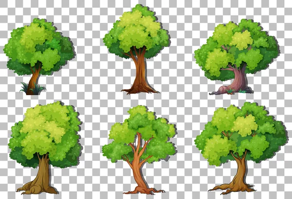 Ensemble Variétés Arbres Sur Fond Transparent Illustration — Image vectorielle