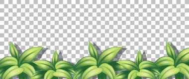 Doğa bitkileri şeffaf arkaplan çizimi