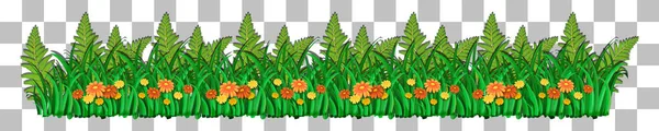 Tráva Rostliny Průhledném Pozadí Pro Ilustraci Výzdoby — Stockový vektor