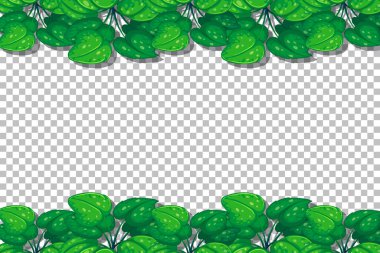 Doğa bitkileri şeffaf arkaplan çizimi