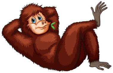 Orangutan clipart