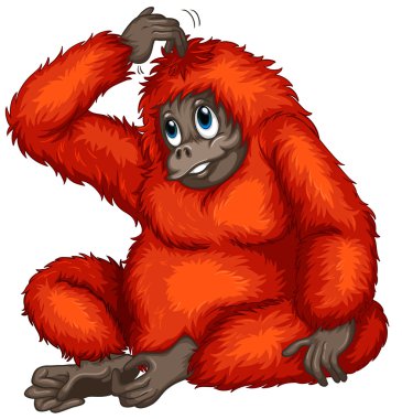 orangutan