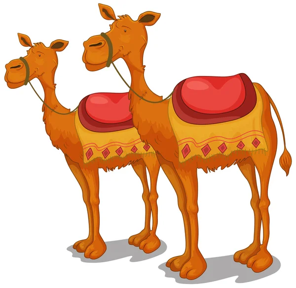 Camellos — Vector de stock