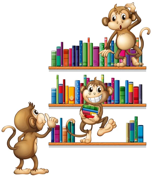 Monkeys and books — Stock Vector