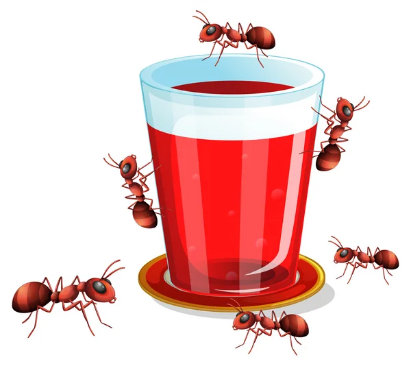 Juice and ants — Stock Vector