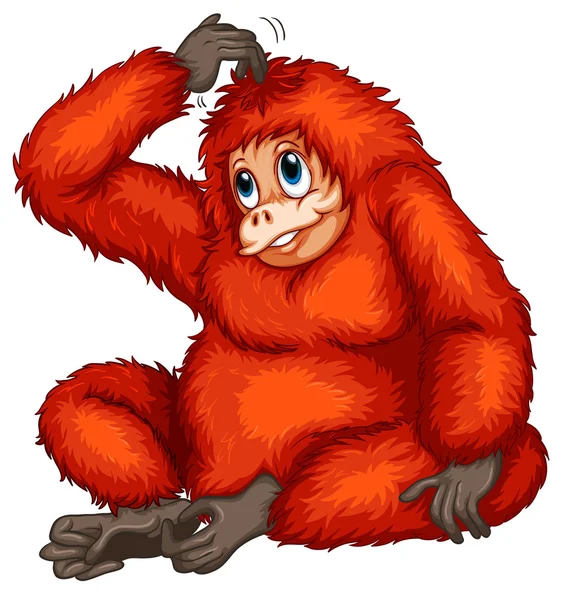 Orangután — Vector de stock