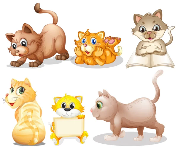 Cat set Royalty Free Stock Vectors