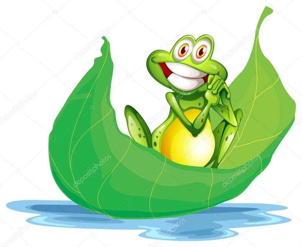 A smiling frog on the big leaf