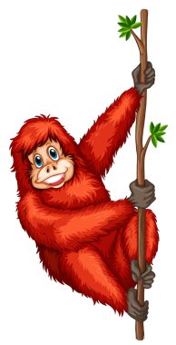 orangutan
