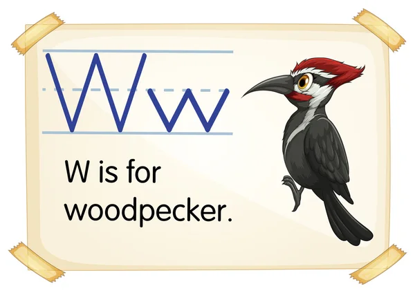 Písmeno w — Stockový vektor