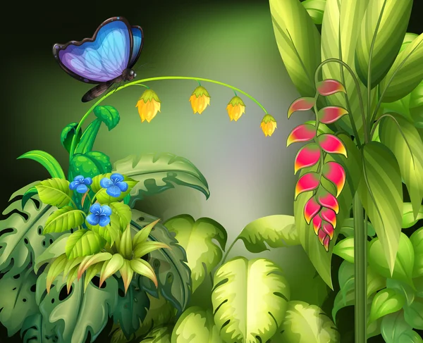 Butterfly en flower — Stockvector