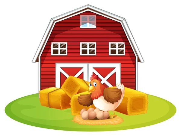 Chicken and barn — Stock Vector