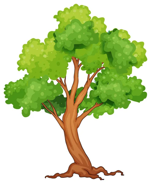 Single tree — Stock Vector