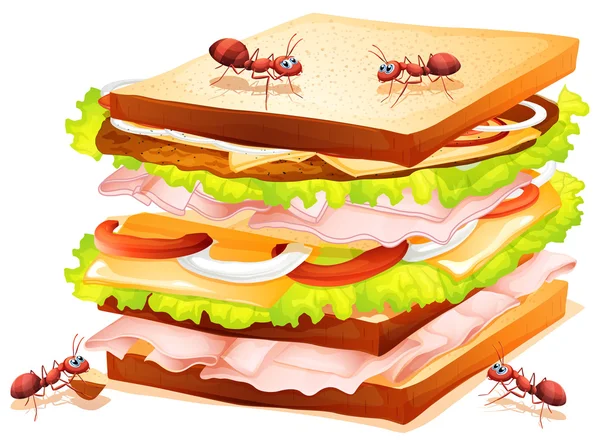 Sandwich a mravenci — Stockový vektor