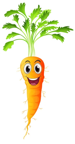 Carrot — Stock Vector