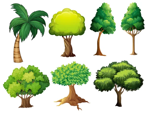 Tree set — Stock Vector