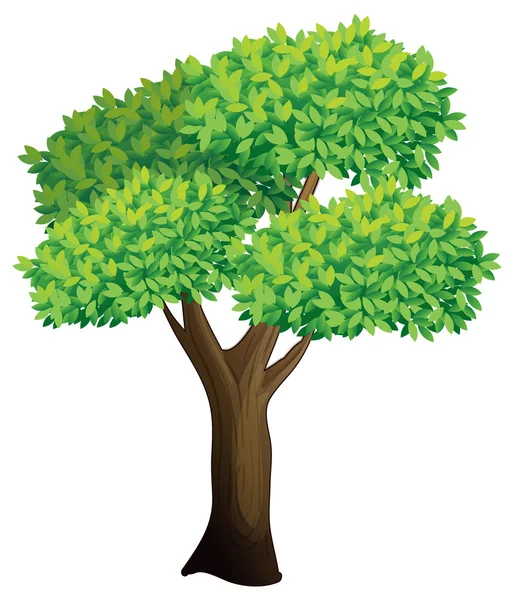 Árbol — Vector de stock