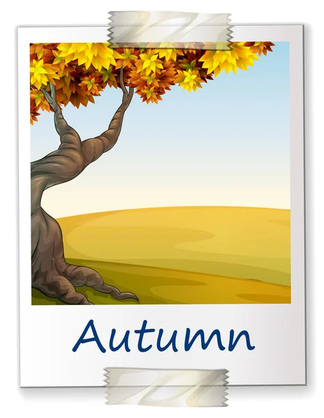 Herbst — Stockvektor