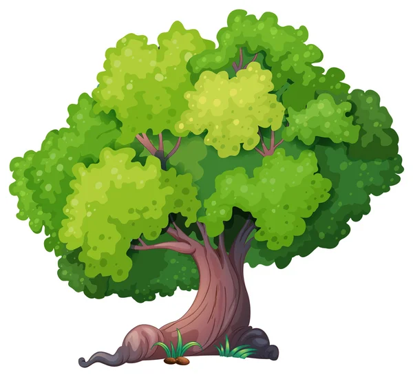 Planting Tree Vector Art Stock Images Depositphotos