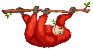 kırmızı bir orangutan