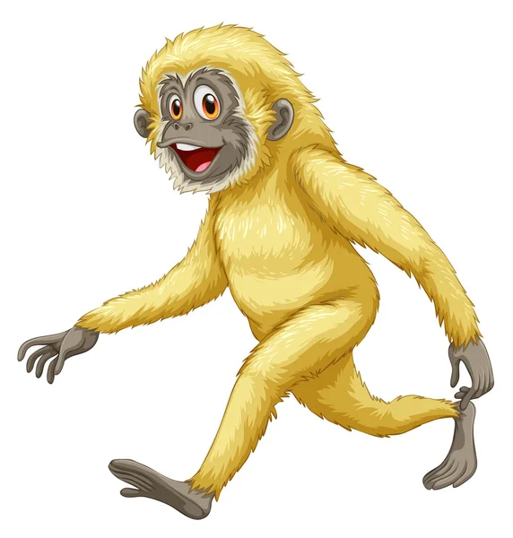 A yellow gorilla — Stock Vector