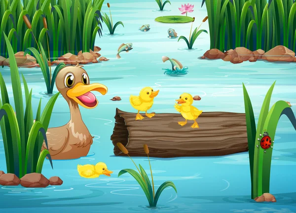 A pond with happy animals — Stock Vector