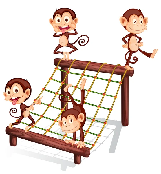 Four playful monkeys — Stock Vector