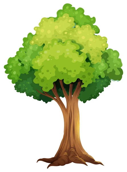 Un árbol gigante — Vector de stock