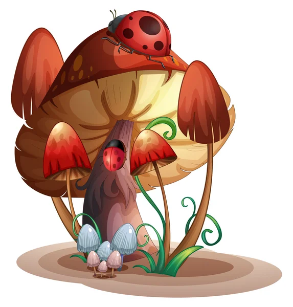 Ein Pilz mit einem Marienkäfer — Stockvektor