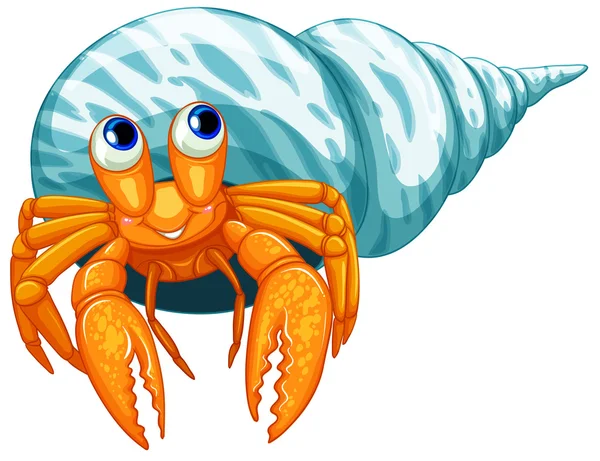 Hermit crab — Stock Vector