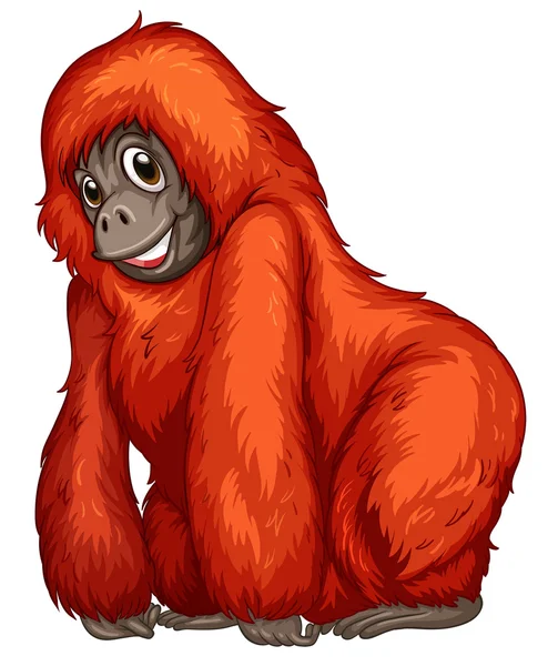 Orangutan — Stock Vector