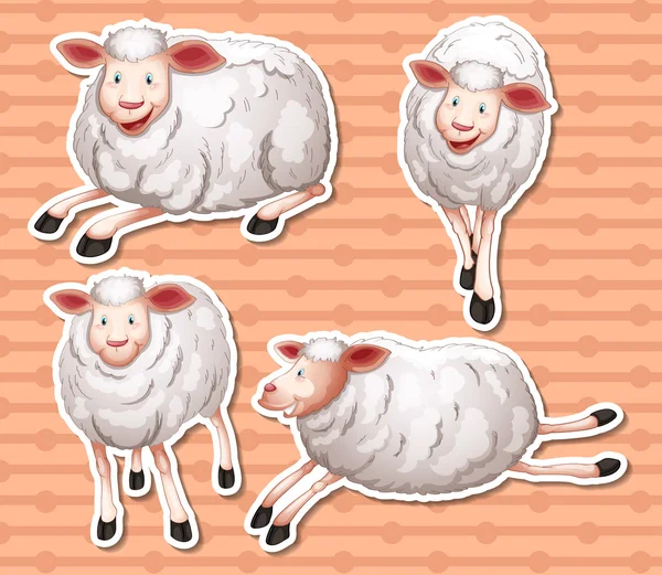 Sheeps set — Stock Vector